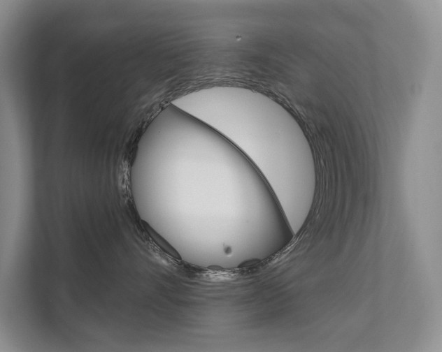 X0000111940528200907271017