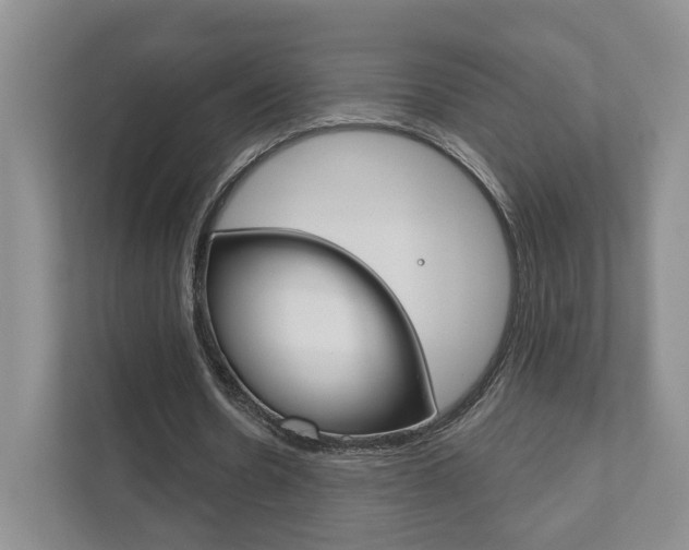 X0000111940530200907271016