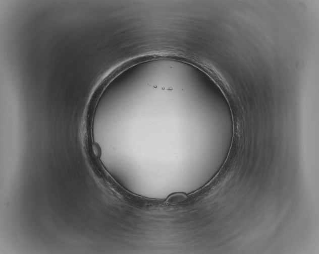 X0000111940532200907271016