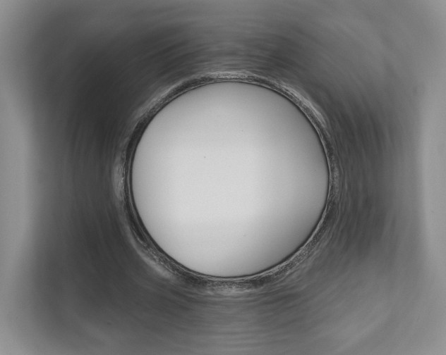 X0000111940533200907271016