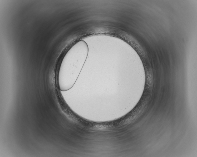 X0000111940534200907271016