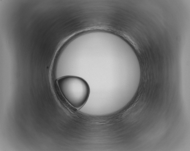 X0000111940536200907271016