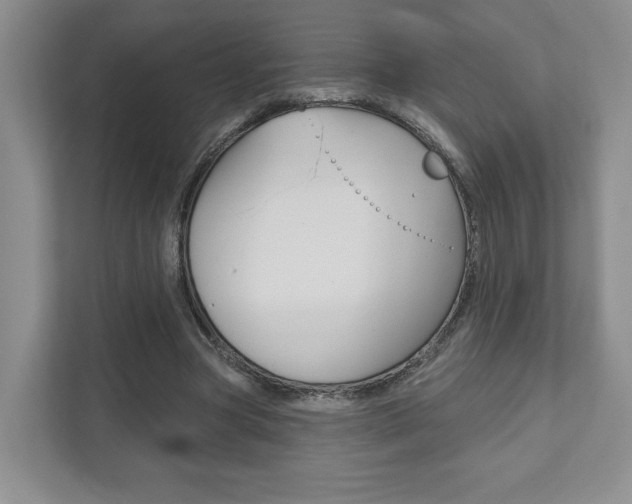 X0000111940537200907271016