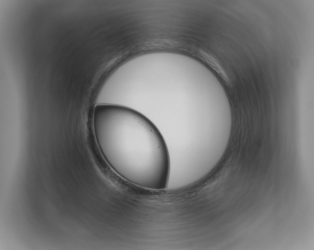 X0000111940538200907271016