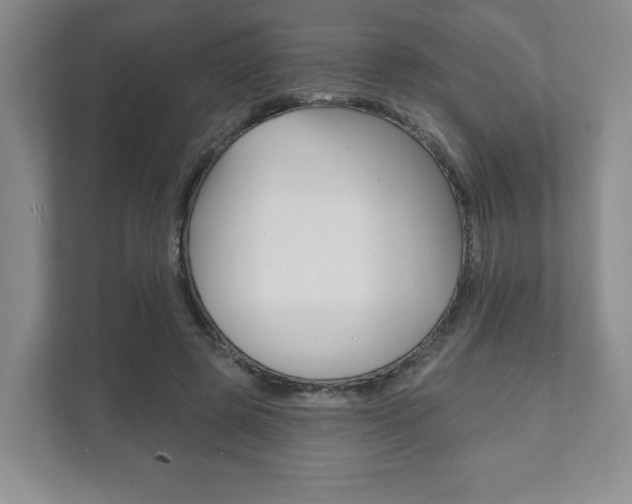 X0000111940545200907271016