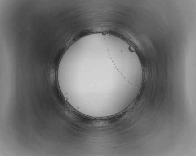 X0000111940549200907271016