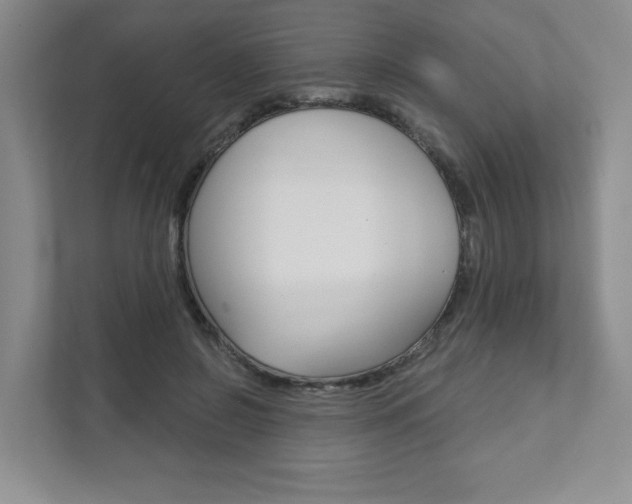 X0000111940550200907271016
