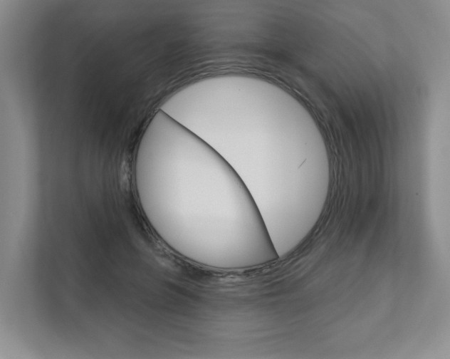 X0000111940551200907271016