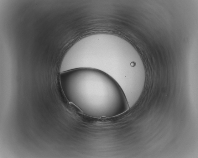 X0000111940556200907271016