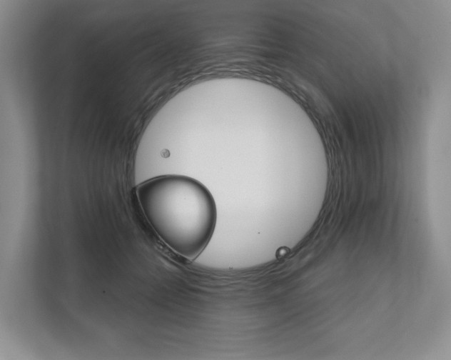X0000111940558200907271016
