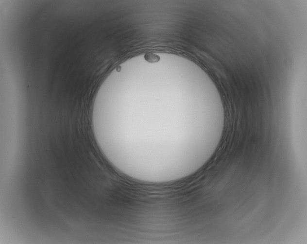 X0000111940560200907271016