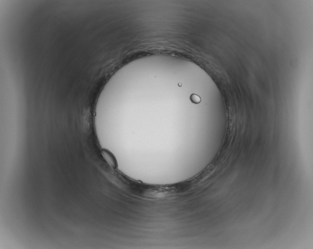 X0000111940563200907271016