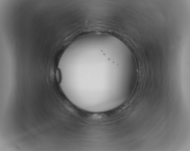 X0000111940566200907271016