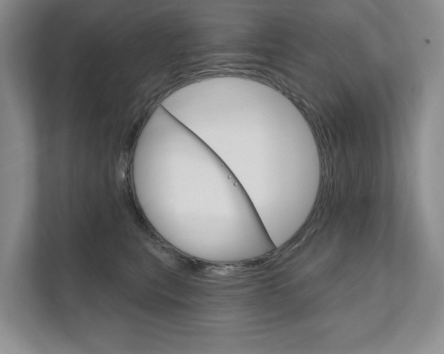 X0000111940567200907271016