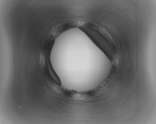 X0000111940568200907271016