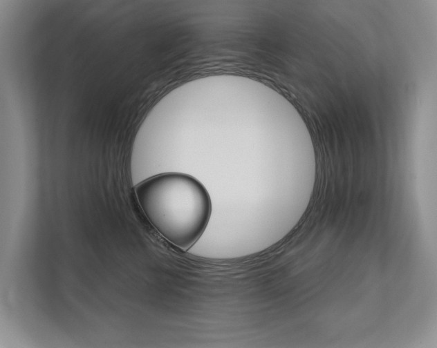 X0000111940570200907271016