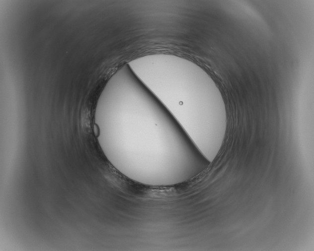 X0000111940571200907271016
