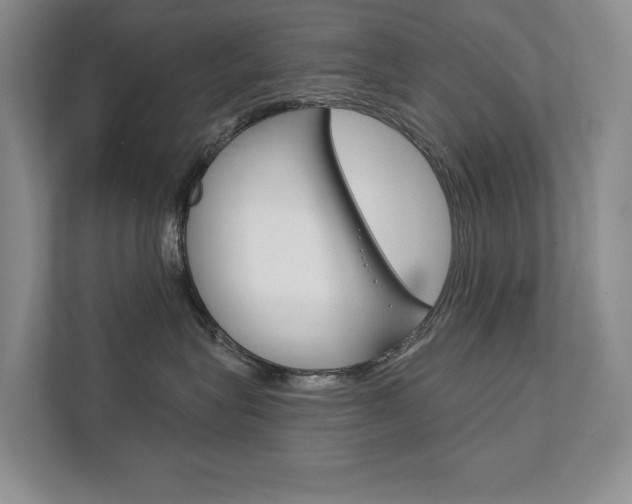 X0000111940575200907271017