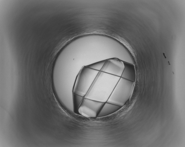 X0000111940577200907271016