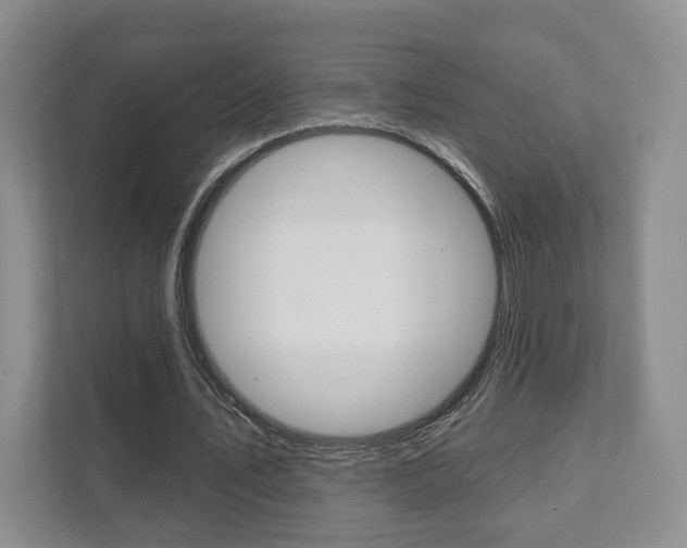 X0000111940579200907271016