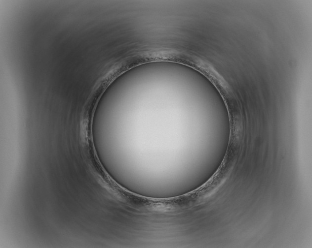X0000111940585200907271016