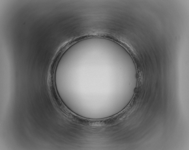X0000111940587200907271016