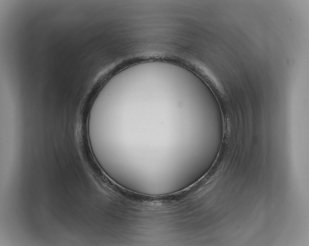 X0000111940588200907271016