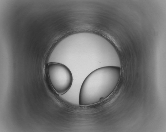 X0000111940589200907271016