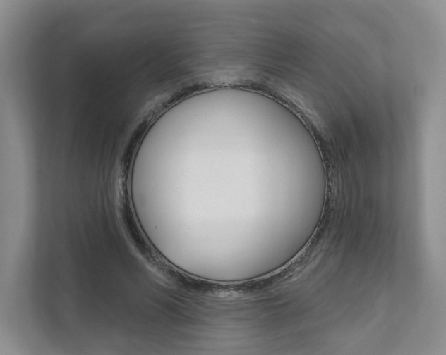 X0000111940590200907271016