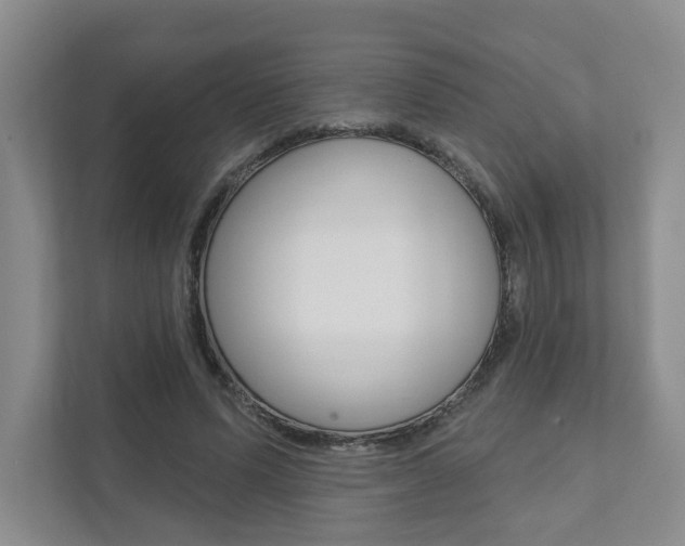 X0000111940591200907271016