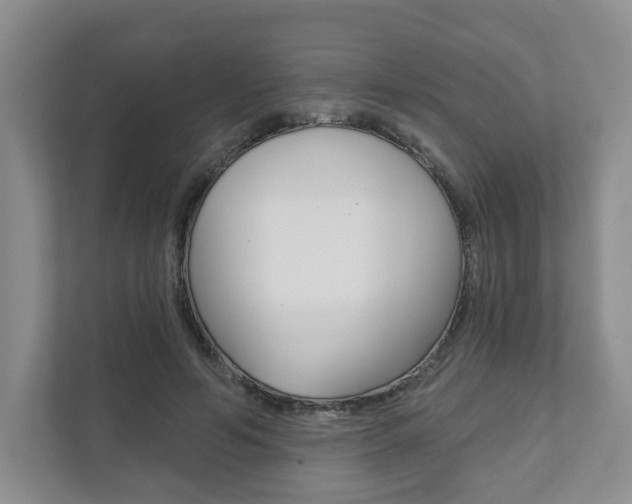 X0000111940594200907271016