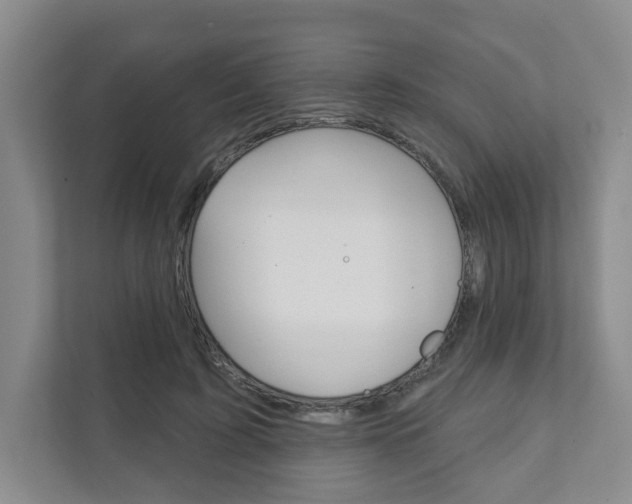 X0000111940595200907271016