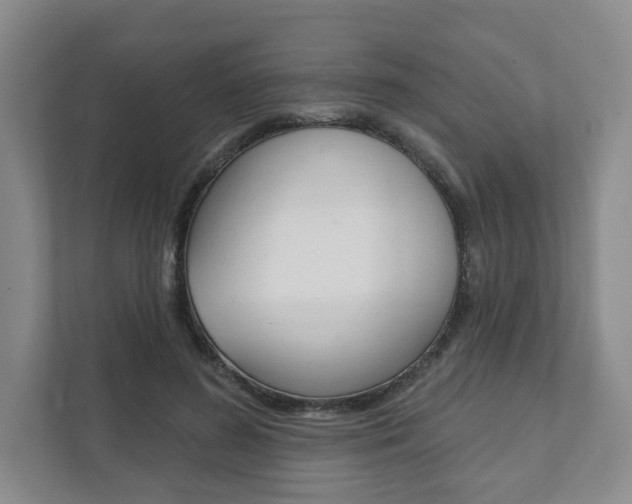 X0000111940596200907271016