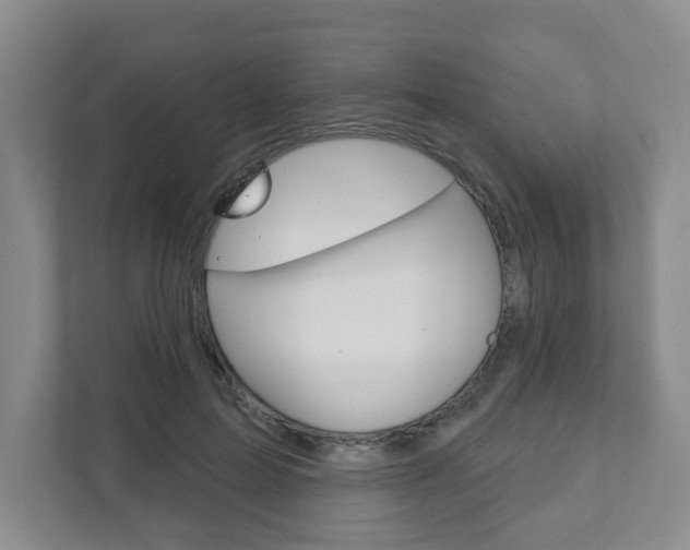X0000111940599200907271016
