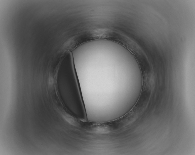X0000111940601200907271016