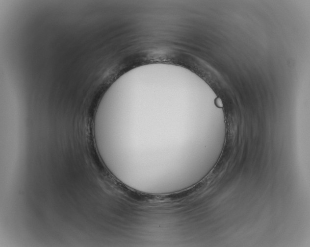 X0000111940603200907271016