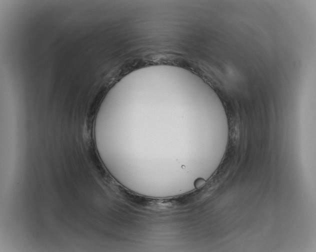 X0000111940607200907271016