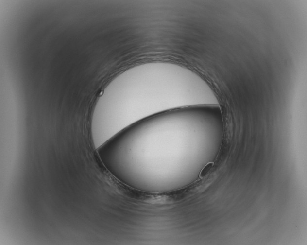 X0000111940609200907271016