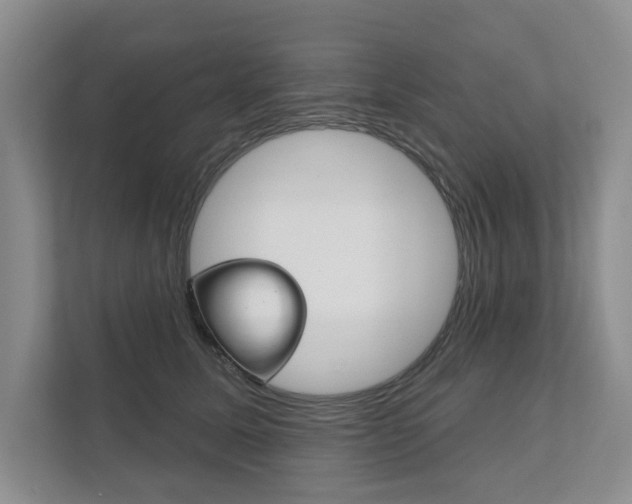 X0000111940611200907271015