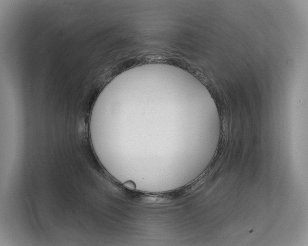 X0000111940614200907271015