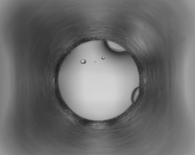 X0000111940615200907271015
