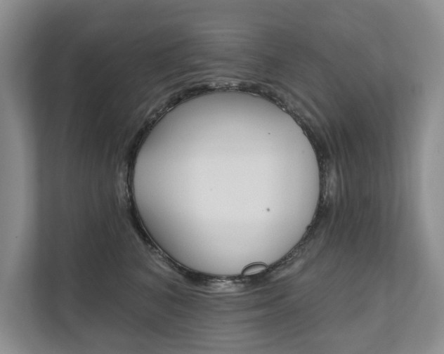 X0000111940616200907271015