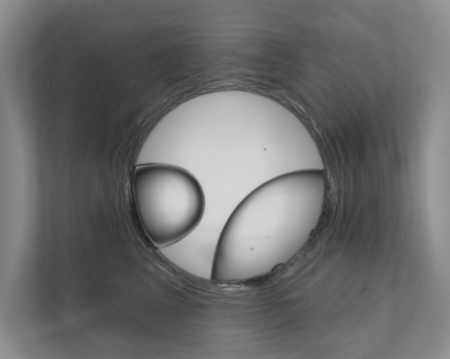 X0000111940617200907271015
