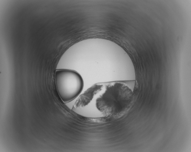 X0000111940623200907271015