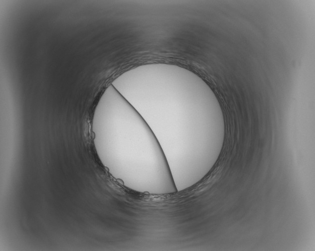 X0000111940624200907271015