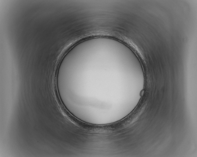 X0000111940625200907271015