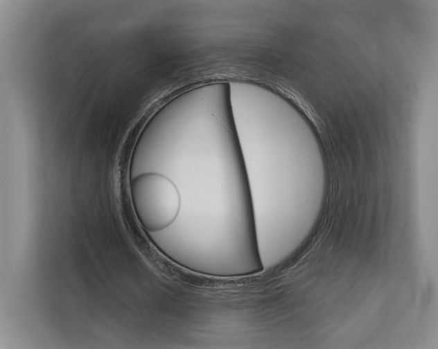X0000111940626200907271015