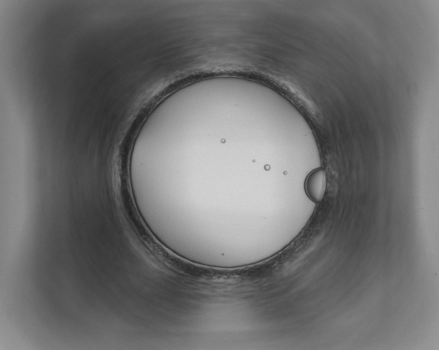 X0000111940631200907271015