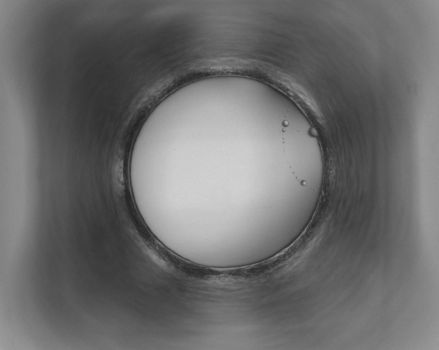X0000111940633200907271015