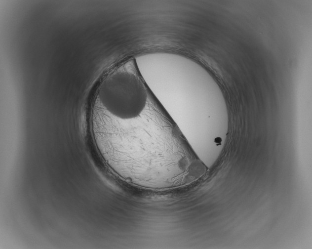 X0000111940638200907271015